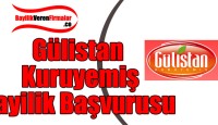 Gülistan Kuruyemiş Bayilik Başvurusu ve Şartları