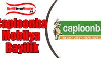 Caploonba Mobilya Bayilik Başvurusu ve Şartları
