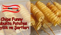 Chips Funny Çubukta Patates Bayilik ve Şartları