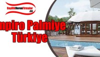 Empiro Palmiye Türkiye Bayilik Şartları