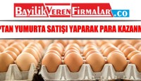 Toptan Yumurta Satışı Yaparak Para Kazanmak