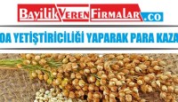 Kinoa Yetiştiriciliği Yaparak Para Kazanın