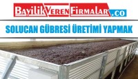Solucan Gübresi Üretimi Yapmak