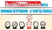 İş Kurmak İstiyorum – 5 Yeni İş Fikirleri
