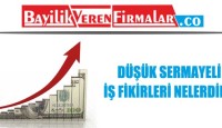 Düşük Sermayeli İş Fikirleri Nelerdir?