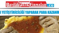 Arı Yetiştiriciliği Yaparak Para Kazanmak