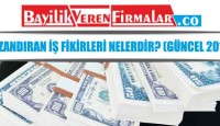 Kazandıran İş Fikirleri Nelerdir? (GÜNCEL 2018)