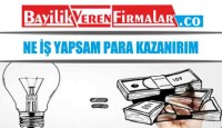 Ne İş Yapsam Para Kazanırım