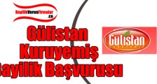 Gülistan Kuruyemiş Bayilik Başvurusu ve Şartları