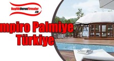 Empiro Palmiye Türkiye Bayilik Şartları
