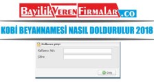 Kobi Beyannamesi Nasıl Doldurulur 2018