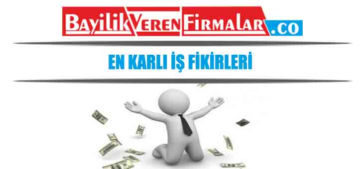 karlı iş fikirleri